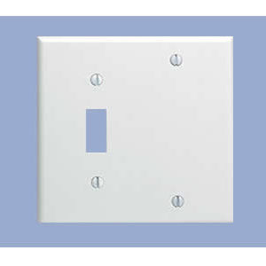 Two Gang, Toggle Switch/Blank wallplate electrical cover