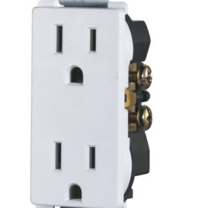 Decorative Duplex Receptacle